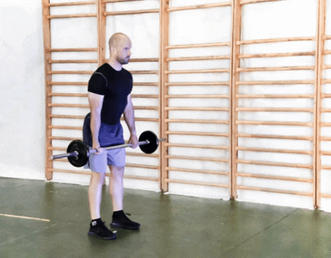 Barre deadlift