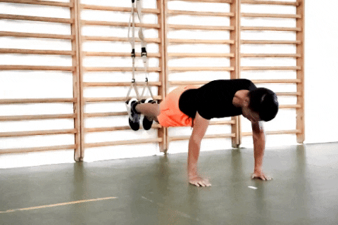TRX Swing Plank