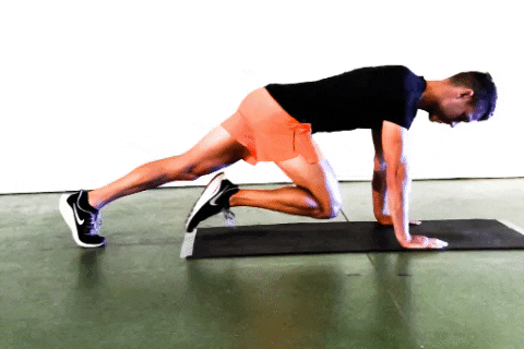 Flexion Leg Plank (on hands)