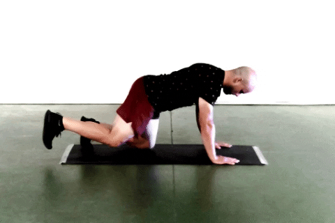 Dog flexion / extension glutes