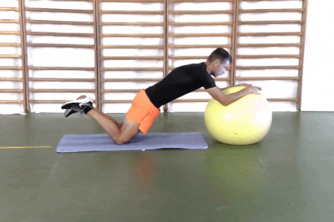 Forward Abs Swiss Ball