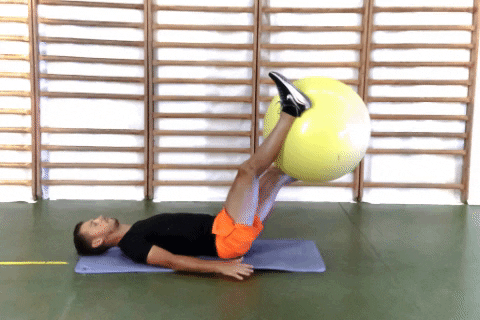 Rotation Abs Swiss Ball
