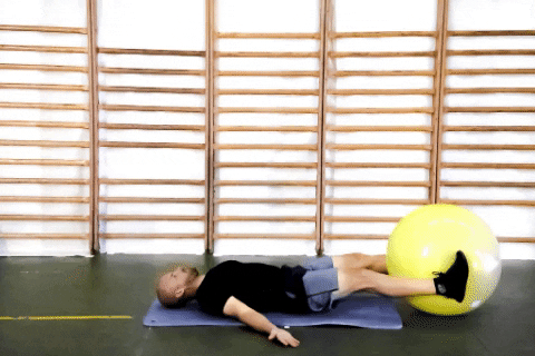 Combo Abs Swiss Ball
