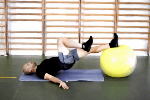 Hamstring Flexion Swiss Ball