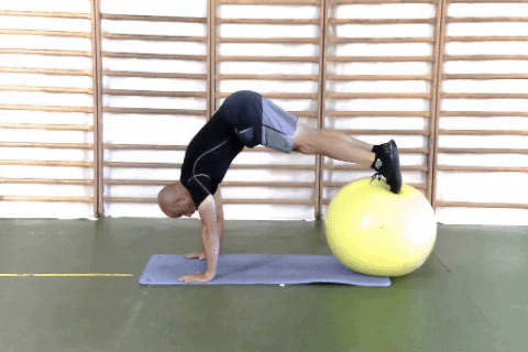 Pike Swiss Ball