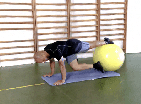 Plank Cross Leg Swiss Ball