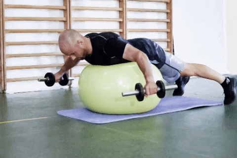 DB flying bird with SWB