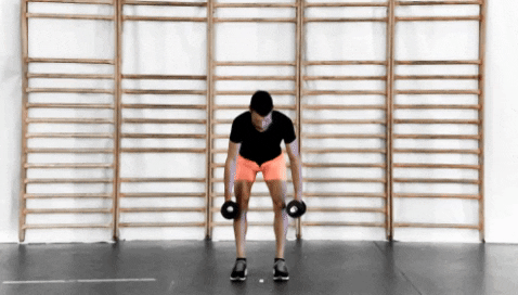 DB Bend over row (serré)