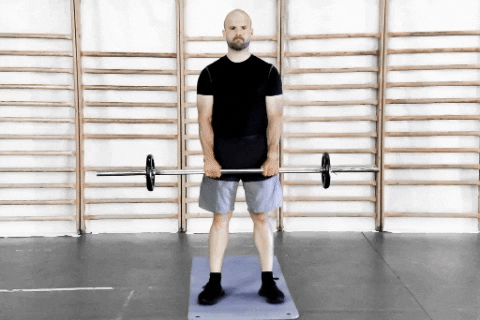 BAR Biceps curl pronation