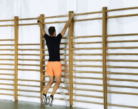 DWB Pull up prise écartée