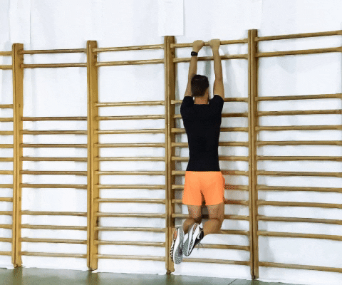 DWB Pull up prise serrée